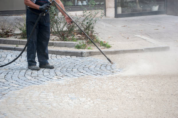 Best Pool Deck Cleaning  in Forest Meadows, CA