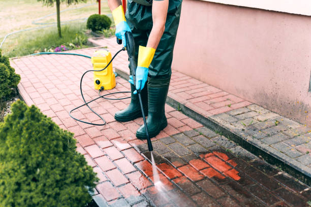 Best Sidewalk and Walkway Cleaning  in Forest Meadows, CA