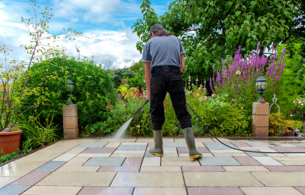 Best Spring Cleaning  in Forest Meadows, CA