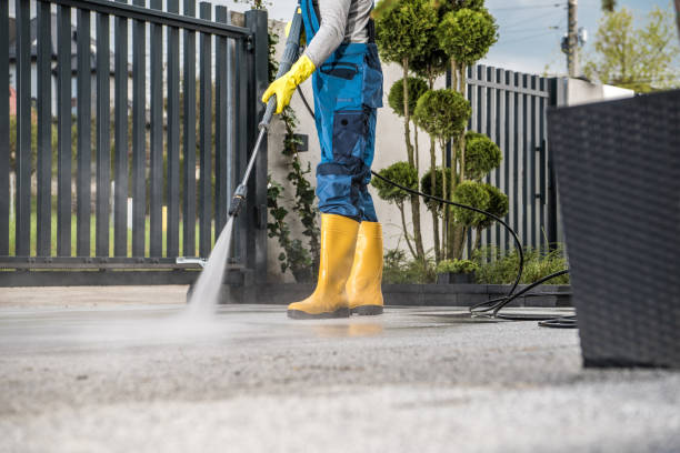 Best Roof Washing  in Forest Meadows, CA